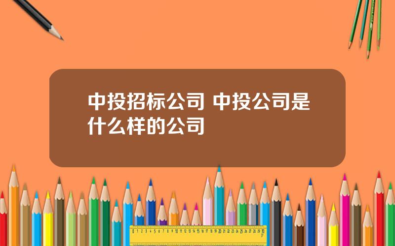 中投招标公司 中投公司是什么样的公司